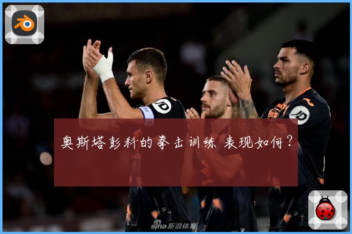 奥斯塔彭科的拳击训练 表现如何？