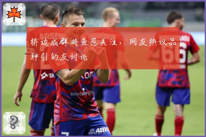 桥边成群游鱼惹关注，网友热议品种引钓友讨论