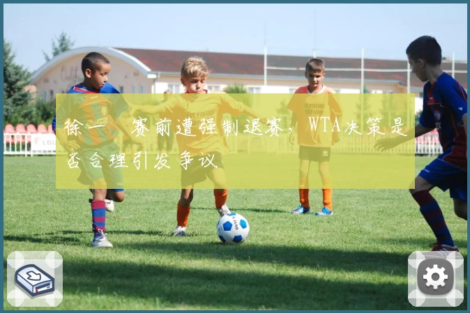 徐一璠赛前遭强制退赛,WTA决策是否合理引发争议