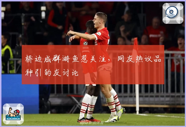 桥边成群游鱼惹关注，网友热议品种引钓友讨论